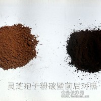 細(xì)胞破壁和粉碎