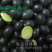 精選良種 青出于藍(lán) 青海豆