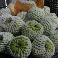 釋迦 鳳梨釋迦 釋迦 水果  進口水果