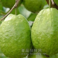 芭樂 番石榴 芭樂 進口水果 檳榔