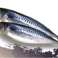 進口冰島原條北大西洋鯖魚（高脂、單凍）