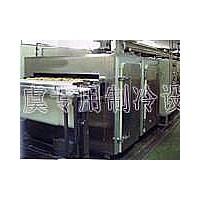 供應(yīng)SDS（M）系列網(wǎng)帶單體速凍裝置