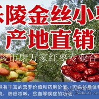 紅棗供應(yīng)商批發(fā)樂陵小棗金絲小棗