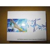雞17羥皮質(zhì)類固醇(17-OHCS)ELISA試劑盒