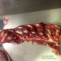 澳洲牛頸骨 262