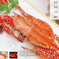 紅膏梭子蟹