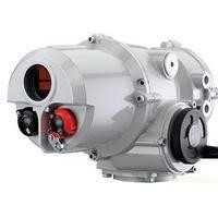 英國ROTORK執(zhí)行器