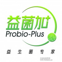 益菌加 經(jīng)典乳桿菌 酸奶發(fā)酵劑 菌粉 酸奶益生菌