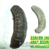 小鴻水產(chǎn)大量批發(fā)老北極參，小黑參，價(jià)格便宜，營(yíng)養(yǎng)價(jià)值高是老百姓吃得起的海參