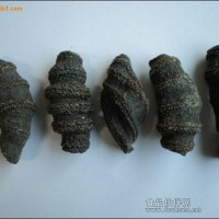 參皮又烏元參，價(jià)格實(shí)惠，營(yíng)養(yǎng)價(jià)值高，小鴻水產(chǎn)常年供應(yīng)各種進(jìn)口海參