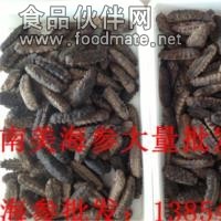 進口海參批發(fā)-鴻參源海參批發(fā)商行