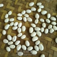 白刀豆 白扁豆 可代加工 茶碎 細茶
