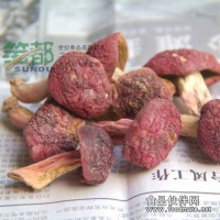 福建武夷山特產(chǎn)紅菇200g