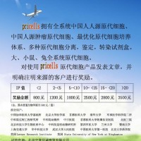 供應(yīng)原代細(xì)胞  欲購(gòu)從速
