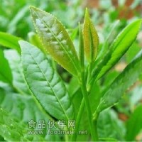 （套餐B）出口歐盟茶葉核心農殘?zhí)撞?2項