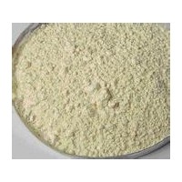 廠家直銷 現(xiàn)貨供應(yīng)優(yōu)質(zhì)大豆分離蛋白 大豆組織蛋白 大豆蛋白 粉
