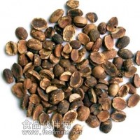 供應(yīng)橡子仁