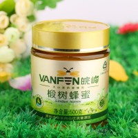 廠家直銷皖峰椴樹蜂蜜500g 適合廣大老年人食用 安徽天柱山特產(chǎn)