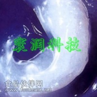 環(huán)潤科技陶磁閥芯潤滑脂