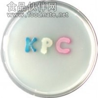 科瑪嘉KPC培養(yǎng)基