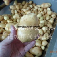 鮮切油炸薯片專業(yè)設備—連續(xù)式油炸機 拌料機 多層風吹冷卻機