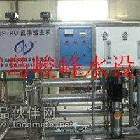 辣椒醬制作純水設(shè)備  膠州水處理設(shè)備
