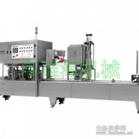 LXS/CFD-3 連續(xù)式充填封口機