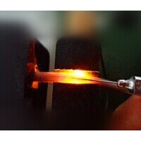 大小鼠靜脈可視尾注固定器