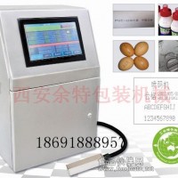西安小字符油墨噴碼機(jī) 日期批號噴碼設(shè)備