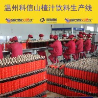 整套山楂汁飲料生產(chǎn)線設(shè)備 小型山楂汁飲料加工設(shè)備廠家