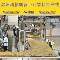 成套胡蘿卜汁飲料生產(chǎn)線設(shè)備 小型胡蘿卜深加工設(shè)備廠家