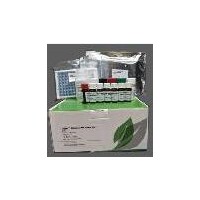 Evergreen李斯特菌檢測(cè)條