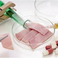 ICAS英格爾肉類真實性檢測服務(wù)-食品檢測-檢測報告