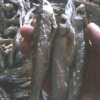 淡水刁子魚干 綠葉陽干綠色魚干系列