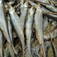 洪湖【綠葉】水產(chǎn)魚干生產(chǎn)銷售廠家 新鮮魚干 品種全價格優(yōu)