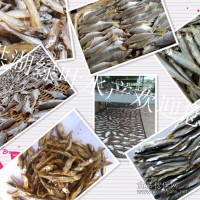 小貢魚 魚肉干 淡水小貢魚銷售廠家