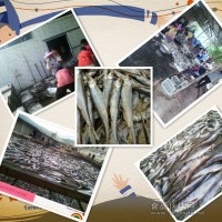 配方魚干廠家 洪湖魚干生產(chǎn)批發(fā)基地 休閑魚廠家供貨商