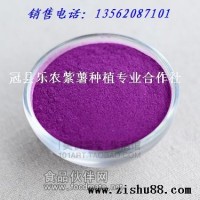 紫薯粉專業(yè)加工廠