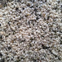 火麻仁 脫殼火麻仁優(yōu)質(zhì)出口級別火麻仁