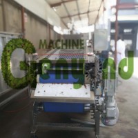 0.5T以內(nèi)小型生產(chǎn)線用帶式榨汁機