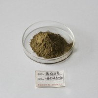 藤茶提取物—專業(yè)生產(chǎn)優(yōu)質(zhì)供應(yīng)