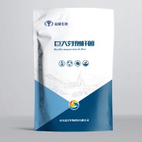 益昊生物 1000億巨大芽孢桿菌 降磷固氮生物肥