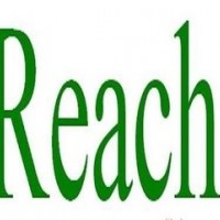 東莞REACH檢測(cè)認(rèn)證211項(xiàng)信準(zhǔn)檢測(cè)