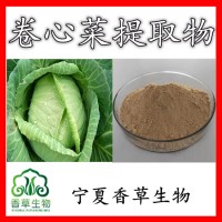 卷心菜提取物 卷心菜粉花椰菜提取物 蓮花白提取物