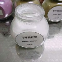 荸薺提取物速溶荸薺粉 馬蹄粉 馬蹄提取物廠家