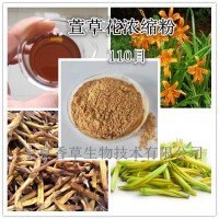 萱草花提取物黃花菜粉100目忘憂草提取物