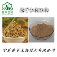 柏子仁提取物  柏子仁浸膏粉  柏子仁粉 側(cè)柏子提取物