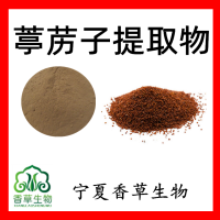 葶藶子提取物葶藶子粉 葶藶子提取液