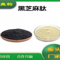 黑芝麻提取物 黑芝麻肽 生產(chǎn)廠家