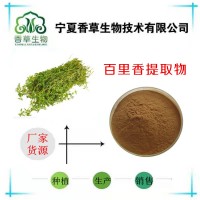 百里香粉 食品香料 調(diào)味料 寧夏地椒葉粉 地椒提取物30:1